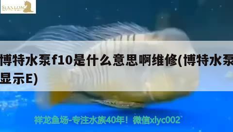 博特水泵f10是什么意思啊維修(博特水泵顯示E) 博特水族