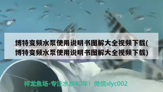 博特變頻水泵使用說明書圖解大全視頻下載(博特變頻水泵使用說明書圖解大全視頻下載)