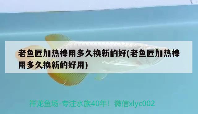 老魚匠加熱棒用多久換新的好(老魚匠加熱棒用多久換新的好用) 老魚匠