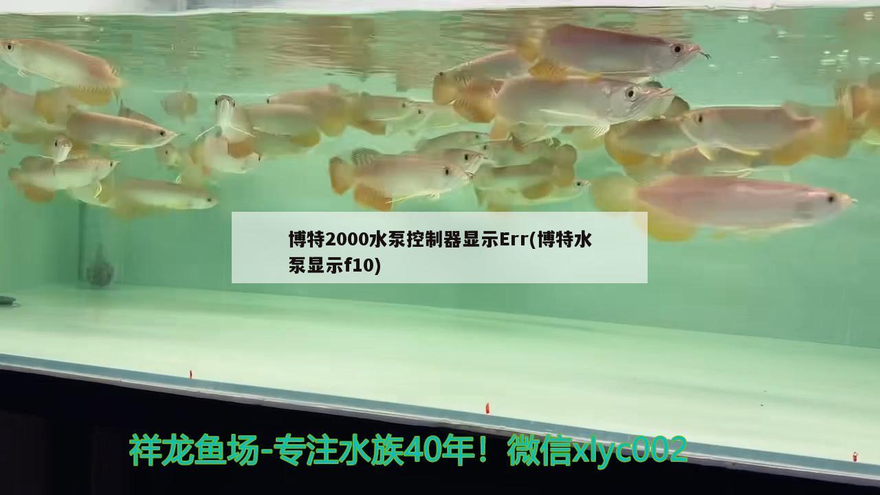 博特2000水泵控制器顯示Err(博特水泵顯示f10) 博特水族