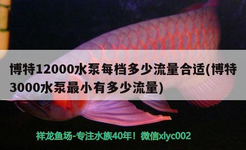 博特12000水泵每檔多少流量合適(博特3000水泵最小有多少流量)