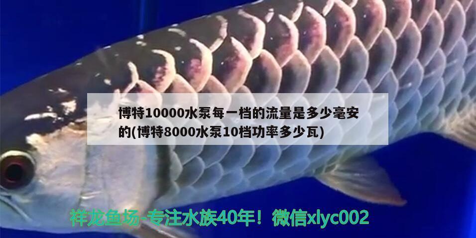 博特10000水泵每一檔的流量是多少毫安的(博特8000水泵10檔功率多少瓦) 博特水族