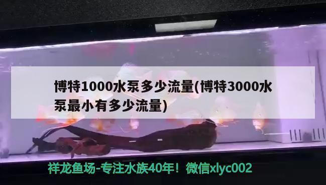 博特1000水泵多少流量(博特3000水泵最小有多少流量) 博特水族