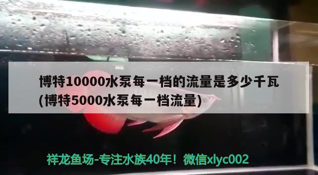 博特10000水泵每一檔的流量是多少千瓦(博特5000水泵每一檔流量) 博特水族