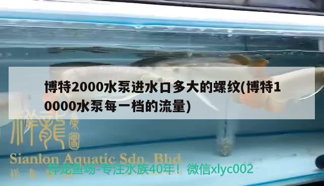 博特2000水泵進水口多大的螺紋(博特10000水泵每一檔的流量) 博特水族