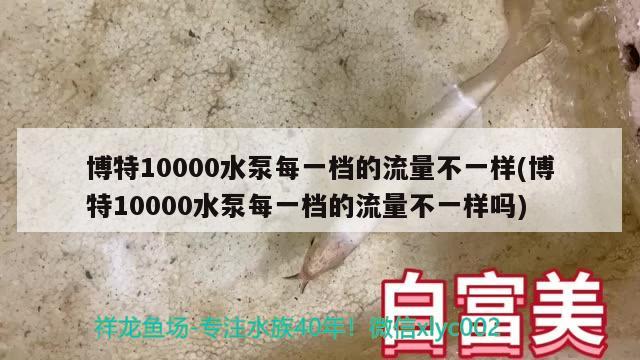 博特10000水泵每一檔的流量不一樣(博特10000水泵每一檔的流量不一樣嗎) 博特水族