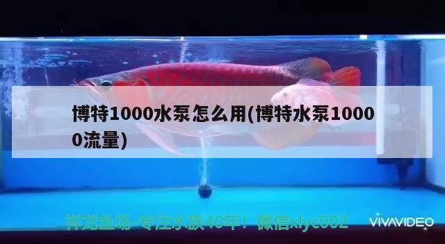 博特1000水泵怎么用(博特水泵10000流量) 博特水族