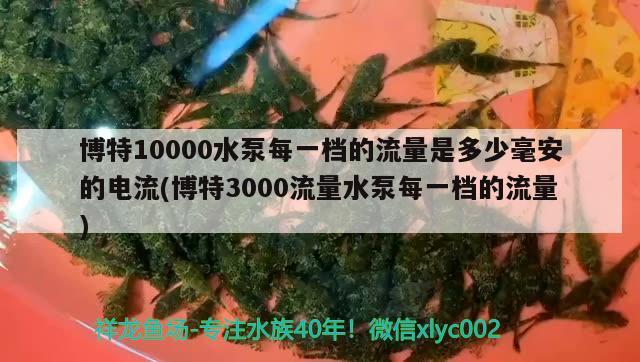 博特10000水泵每一檔的流量是多少毫安的電流(博特3000流量水泵每一檔的流量)