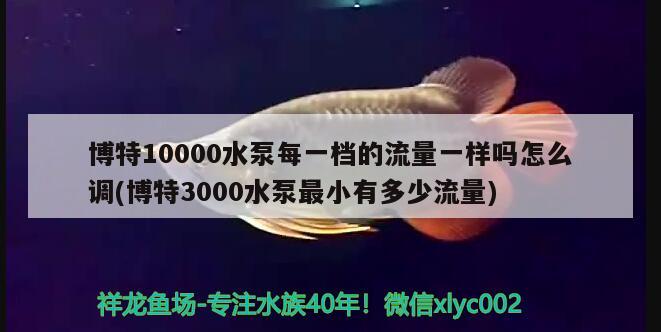 博特10000水泵每一檔的流量一樣嗎怎么調(diào)(博特3000水泵最小有多少流量) 博特水族 第1張