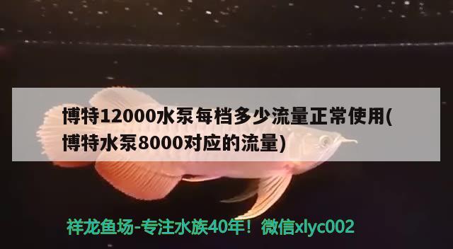 博特12000水泵每檔多少流量正常使用(博特水泵8000對應(yīng)的流量) 博特水族