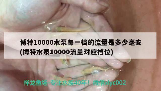 博特10000水泵每一檔的流量是多少毫安(博特水泵10000流量對應檔位) 博特水族