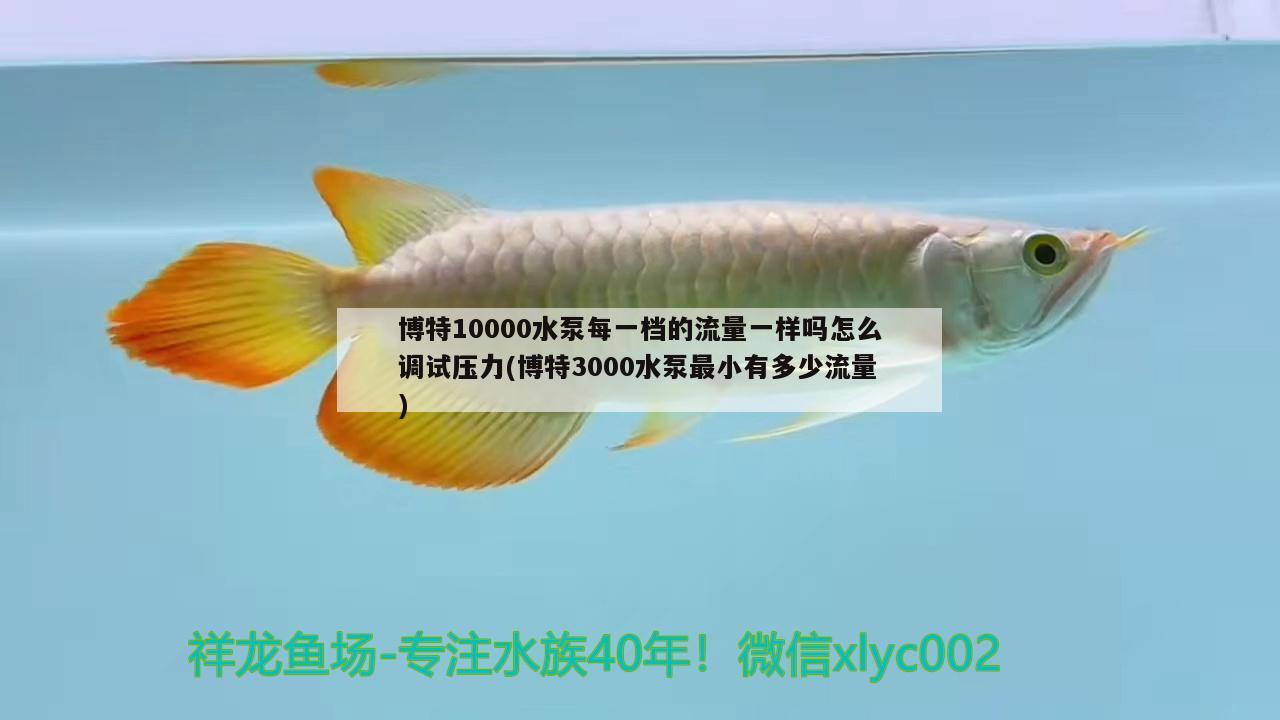 博特10000水泵每一檔的流量一樣嗎怎么調(diào)試壓力(博特3000水泵最小有多少流量)