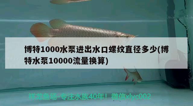 博特1000水泵進(jìn)出水口螺紋直徑多少(博特水泵10000流量換算) 博特水族