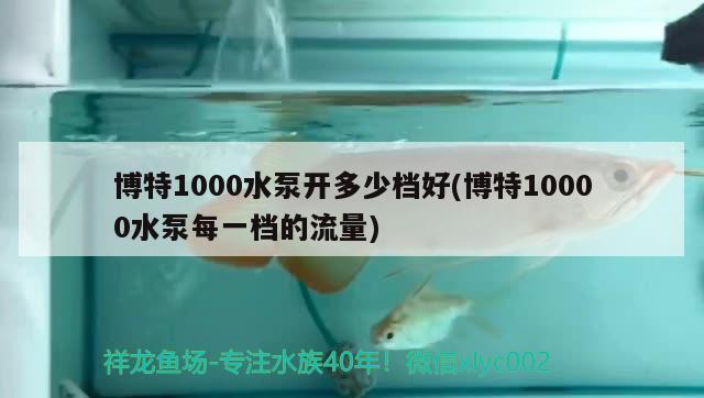 博特1000水泵開多少檔好(博特10000水泵每一檔的流量) 博特水族