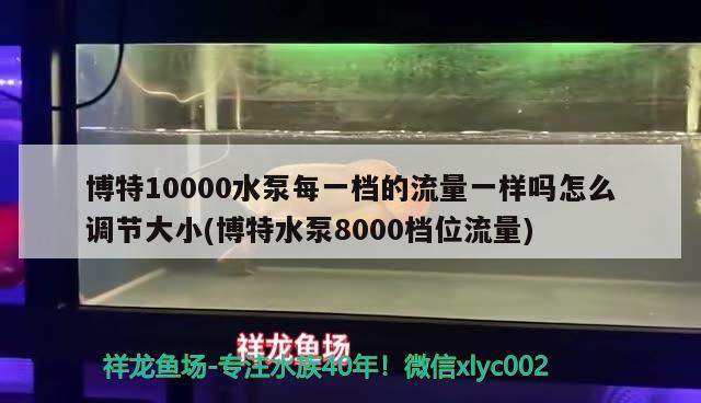 博特10000水泵每一檔的流量一樣嗎怎么調(diào)節(jié)大小(博特水泵8000檔位流量)