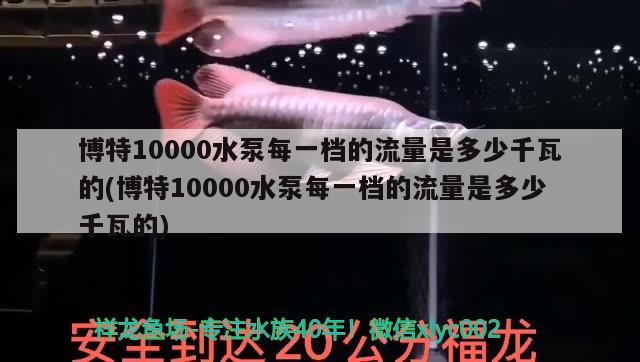 博特10000水泵每一檔的流量是多少千瓦的(博特10000水泵每一檔的流量是多少千瓦的)