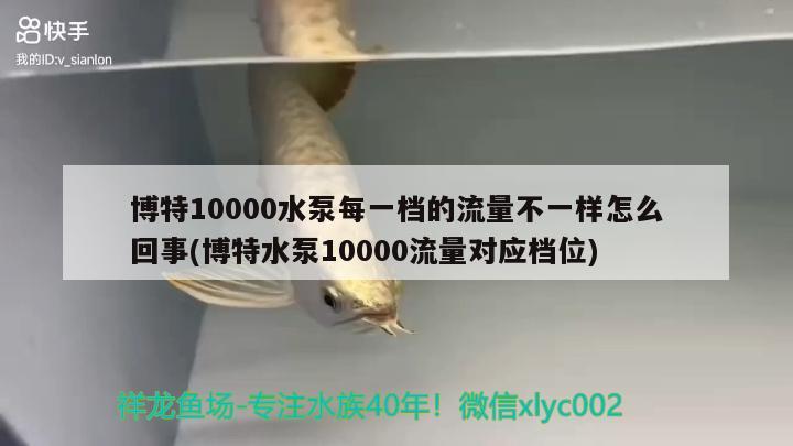 博特10000水泵每一檔的流量不一樣怎么回事(博特水泵10000流量對應檔位) 博特水族