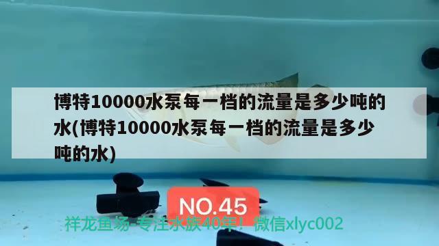 博特10000水泵每一檔的流量是多少噸的水(博特10000水泵每一檔的流量是多少噸的水) 博特水族