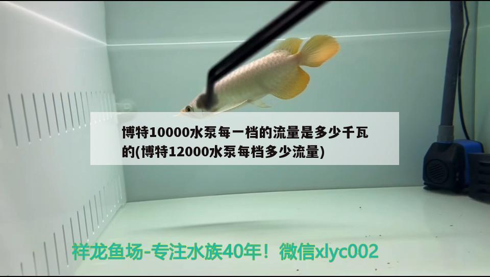 博特10000水泵每一檔的流量是多少千瓦的(博特12000水泵每檔多少流量) 博特水族