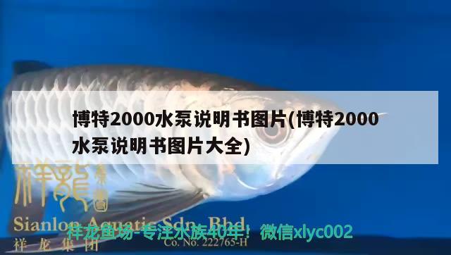 博特2000水泵說明書圖片(博特2000水泵說明書圖片大全) 博特水族