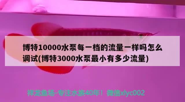 博特10000水泵每一檔的流量一樣嗎怎么調(diào)試(博特3000水泵最小有多少流量) 博特水族