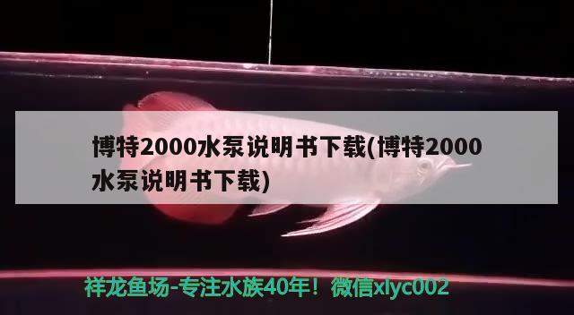 博特2000水泵說明書下載(博特2000水泵說明書下載)