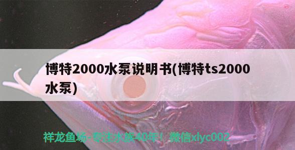 博特2000水泵說明書(博特ts2000水泵)