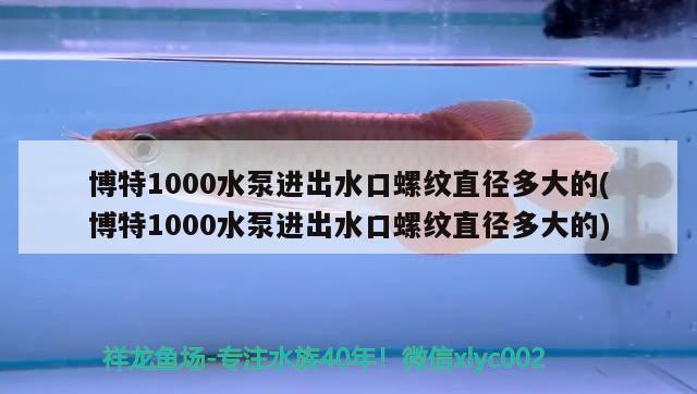 博特1000水泵進(jìn)出水口螺紋直徑多大的(博特1000水泵進(jìn)出水口螺紋直徑多大的) 博特水族