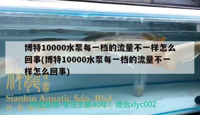 博特10000水泵每一檔的流量不一樣怎么回事(博特10000水泵每一檔的流量不一樣怎么回事) 博特水族