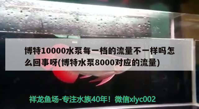 博特10000水泵每一檔的流量不一樣嗎怎么回事呀(博特水泵8000對(duì)應(yīng)的流量) 博特水族