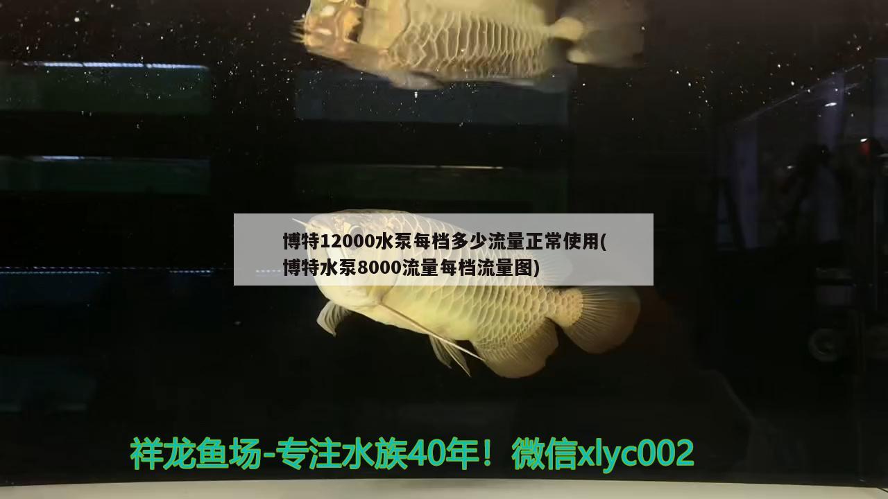 博特12000水泵每檔多少流量正常使用(博特水泵8000流量每檔流量圖) 博特水族 第1張