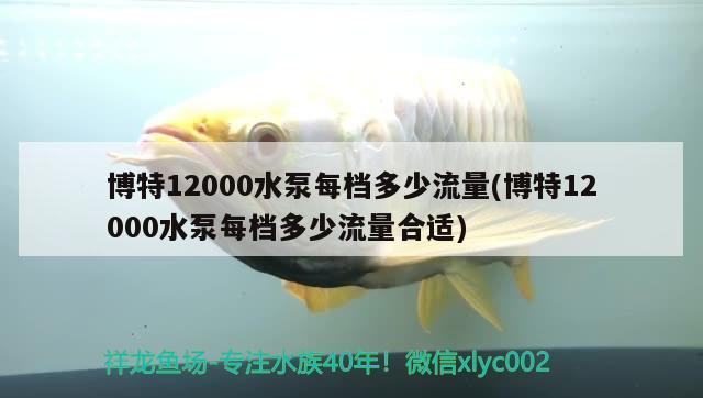 博特12000水泵每檔多少流量(博特12000水泵每檔多少流量合適) 博特水族