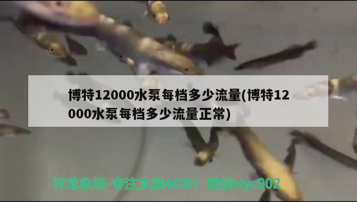 博特12000水泵每檔多少流量(博特12000水泵每檔多少流量正常) 博特水族