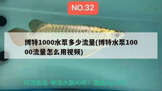 博特1000水泵多少流量(博特水泵10000流量怎么用視頻) 博特水族