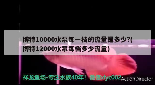 博特10000水泵每一檔的流量是多少?(博特12000水泵每檔多少流量) 博特水族