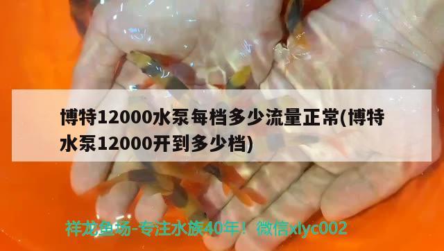 博特12000水泵每檔多少流量正常(博特水泵12000開到多少檔)