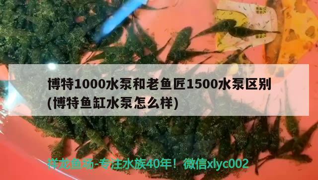 博特1000水泵和老魚匠1500水泵區(qū)別(博特魚缸水泵怎么樣) 博特水族