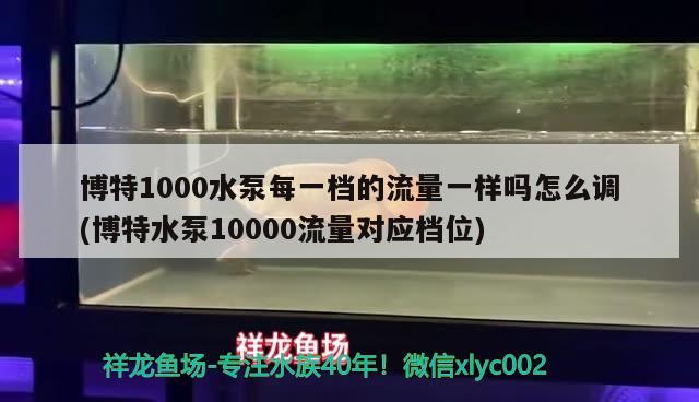 博特1000水泵每一檔的流量一樣嗎怎么調(diào)(博特水泵10000流量對應(yīng)檔位) 博特水族