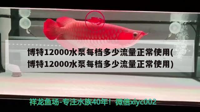 博特12000水泵每檔多少流量正常使用(博特12000水泵每檔多少流量正常使用)