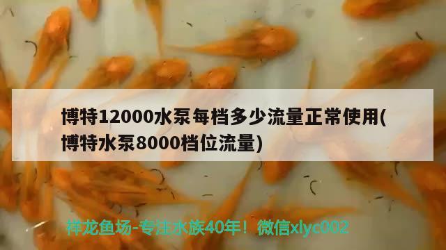 博特12000水泵每檔多少流量正常使用(博特水泵8000檔位流量)