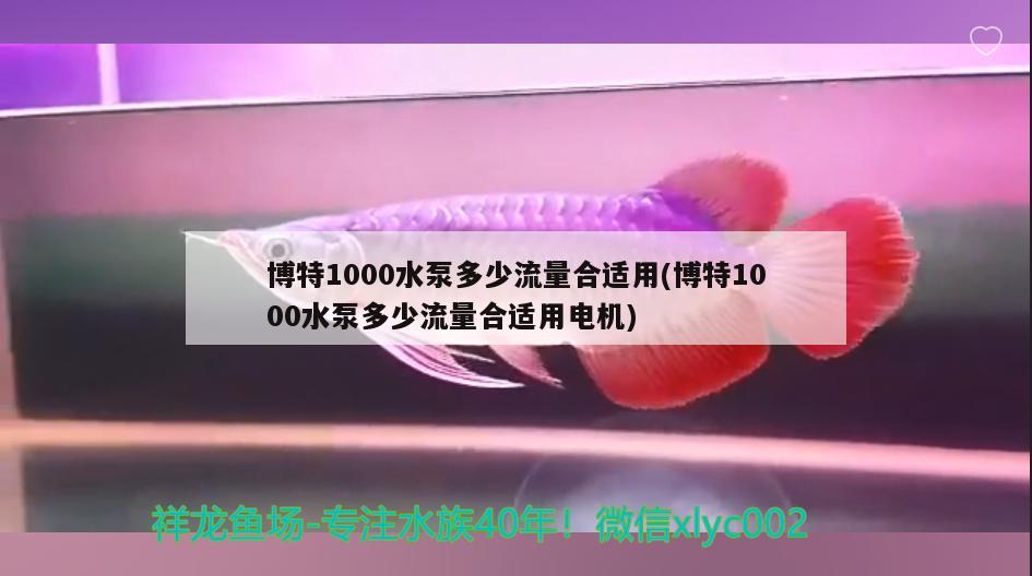 博特1000水泵多少流量合適用(博特1000水泵多少流量合適用電機)