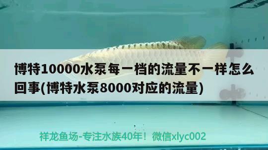 博特10000水泵每一檔的流量不一樣怎么回事(博特水泵8000對(duì)應(yīng)的流量)