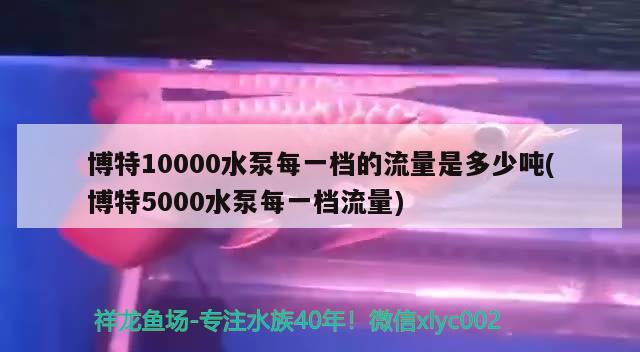 博特10000水泵每一檔的流量是多少噸(博特5000水泵每一檔流量)