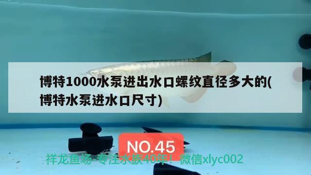 博特1000水泵進出水口螺紋直徑多大的(博特水泵進水口尺寸)