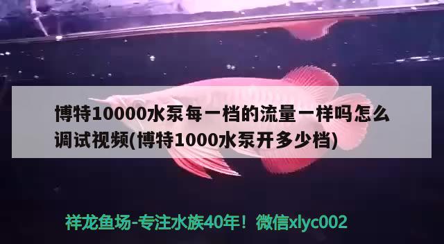 博特10000水泵每一檔的流量一樣嗎怎么調(diào)試視頻(博特1000水泵開多少檔)