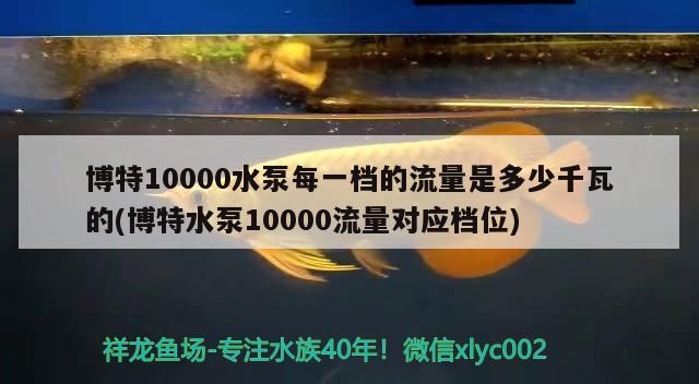 博特10000水泵每一檔的流量是多少千瓦的(博特水泵10000流量對應(yīng)檔位) 博特水族