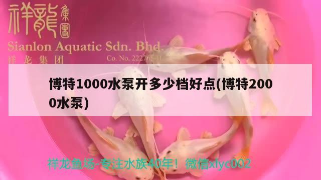 博特1000水泵開(kāi)多少檔好點(diǎn)(博特2000水泵) 博特水族