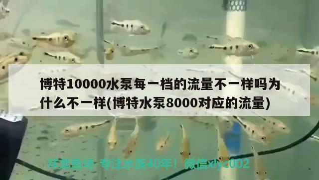 博特10000水泵每一檔的流量不一樣嗎為什么不一樣(博特水泵8000對(duì)應(yīng)的流量) 博特水族