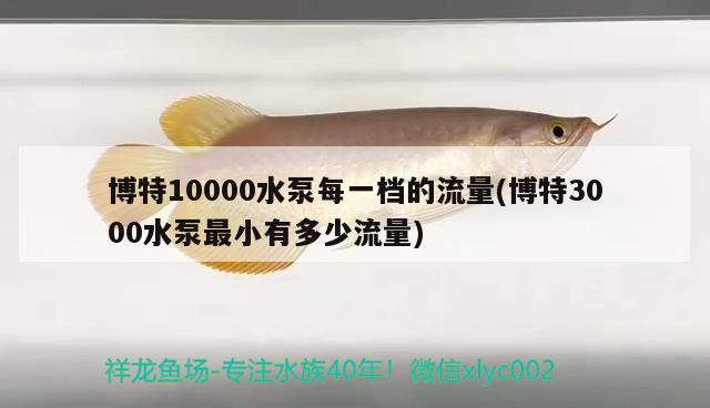 博特10000水泵每一檔的流量(博特3000水泵最小有多少流量) 博特水族