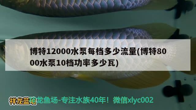 博特12000水泵每檔多少流量(博特8000水泵10檔功率多少瓦) 博特水族 第2張